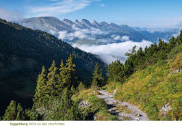 toggenburg blick zu den churfirsten