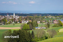 amriswil