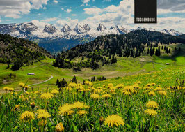 postkarte toggenburg