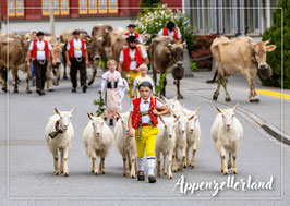 Postkarte Appenzellerland