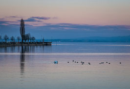 grusskarte bodensee