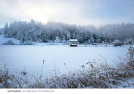 postkarte sankt gallen wenigerweier im winterkleid