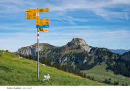 postkarte appenzellerland auf zur alp