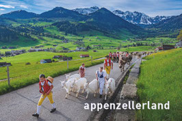 magnet appenzellerland