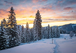 minikarte schwägalp