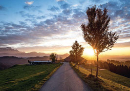 minikarte hohe buche