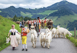 grusskarte alpfahrt · appenzellerland