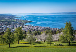 grusskarte bodensee