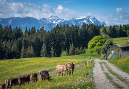 grusskarte kellersegg · appenzellerland