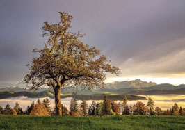 minikarte appenzellerland