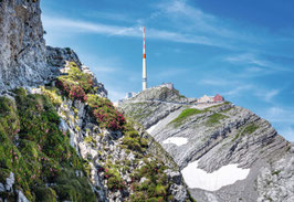 grusskarte säntis