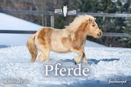 Wandkalender Pferde 2027