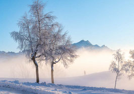 minikarte hohe buche