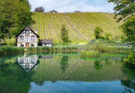 grusskarte thurgau · kartause ittingen