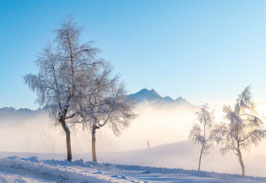grusskarte hoche buche · säntis