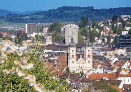 minikarte st.gallen