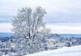 grusskarte st. gallen