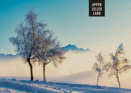 postkarte appenzellerland