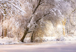 grusskarte winter stadtweier · wil