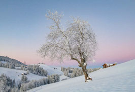 grusskarte hoher kasten · kamor