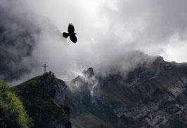 grusskarte alpstein