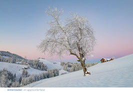 postkarte appenzellerland winterzauber