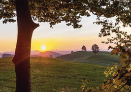 minikarte kapfwald · st.gallen