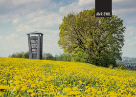 postkarte amriswil