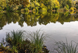 grusskarte bettenauer weiher