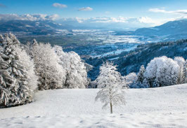grusskarte rheintal · hoher kasten