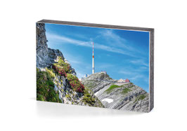 holzbild säntis alpenrosen