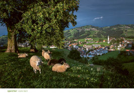 postkarte speicher birt