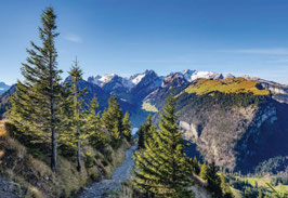 grusskarte alpstein
