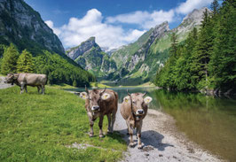 grusskarte seealpsee