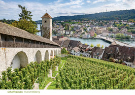 postkarte schaffhausen munotrebberg