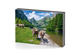 holzbild seealpsee gemütliche alpzeit