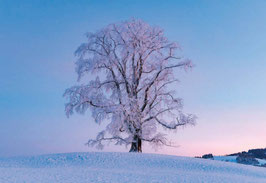 grusskarte appenzellerland · speicher