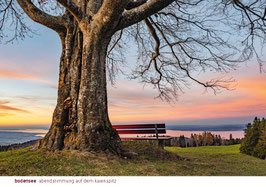 postkarte bodensee abendstimmung auf dem kaienspitz