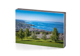 holzbild prächtiger bodensee