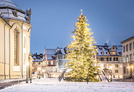 grusskarte christbaum · st. gallen