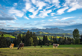 grusskarte waldegg appenzellerland