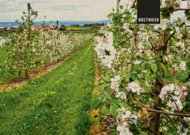 postkarte mostindien