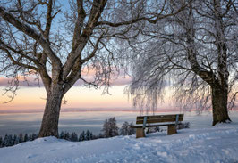 grusskarte fünfländerblick · bodensee