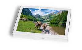 grusskartenset appenzeller