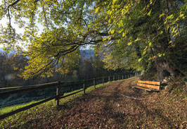 grusskarte schlosswald salez