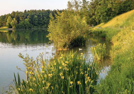 minikarte gübsensee · st.gallen