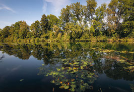 grusskarte alter rhein