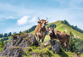 grusskarte appenzellerland · scheidegg