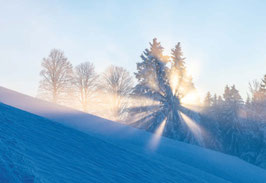 grusskarte hohe buche