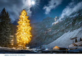 postkarte säntis strahlender christbaum